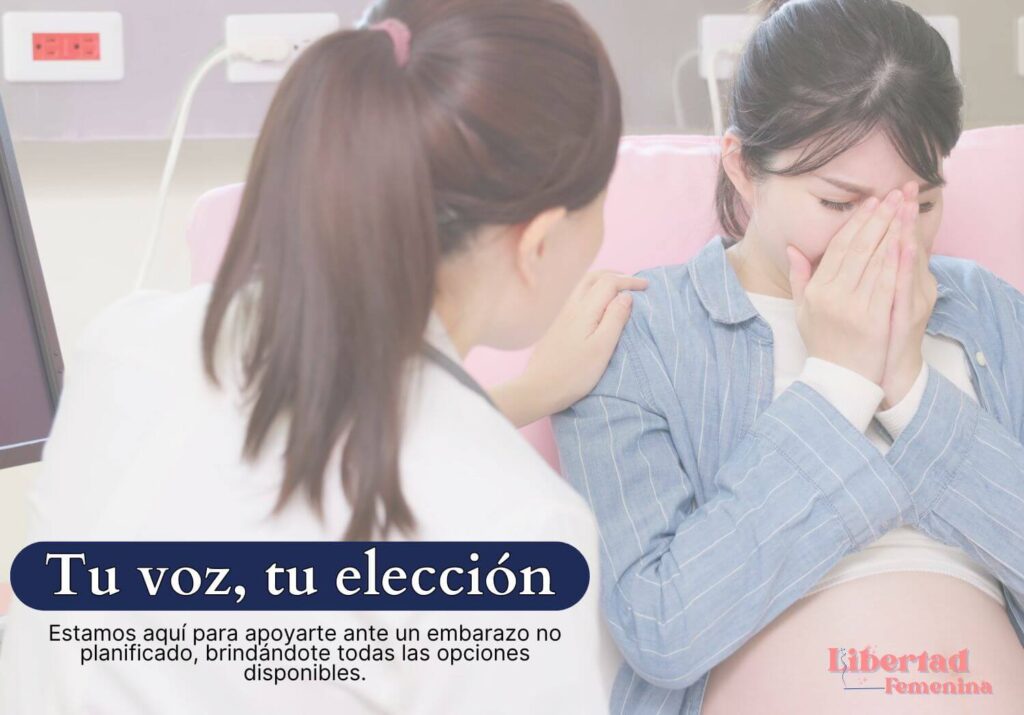 interrupcion-embarazo-todas-las-opciones